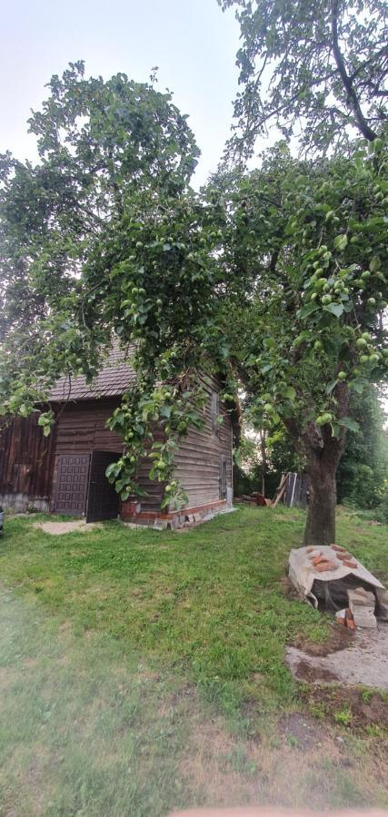 Mazurska Przystan Villa Dabrowno  Exterior photo